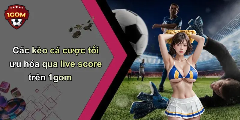 Các kèo cá cược tối ưu hóa qua live score trên 1gom