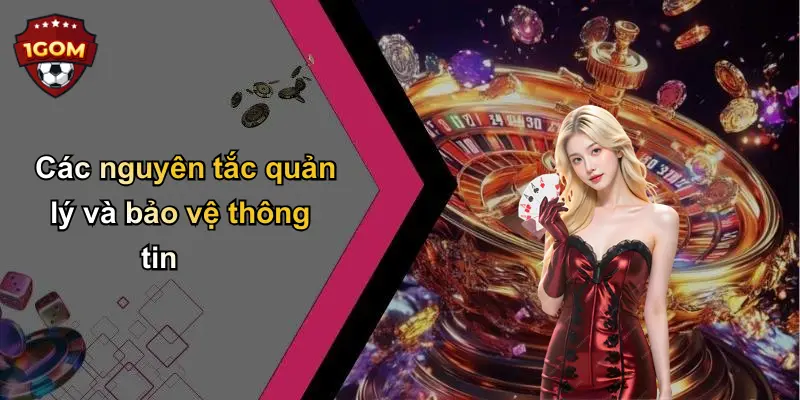 Các nguyên tắc quản lý và bảo vệ thông tin